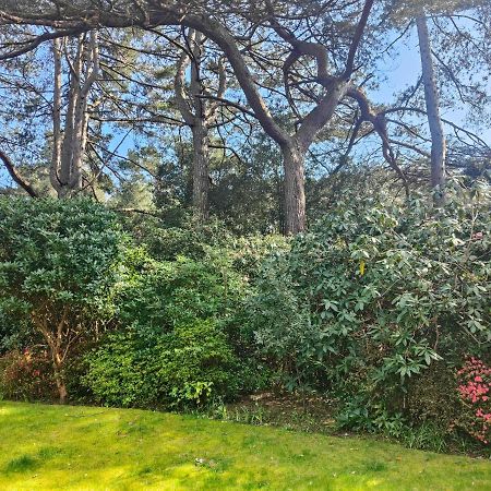Peaceful Getaway In Forested Park Bournemouth Luaran gambar