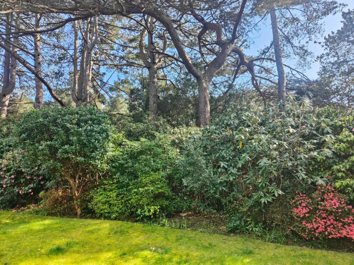 Peaceful Getaway In Forested Park Bournemouth Luaran gambar