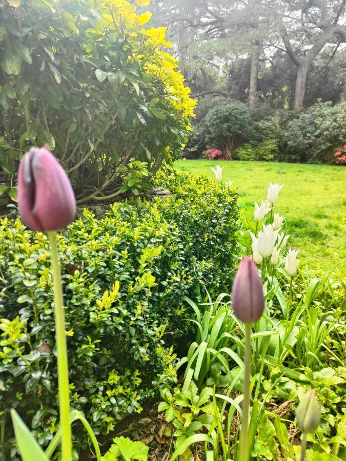 Peaceful Getaway In Forested Park Bournemouth Luaran gambar